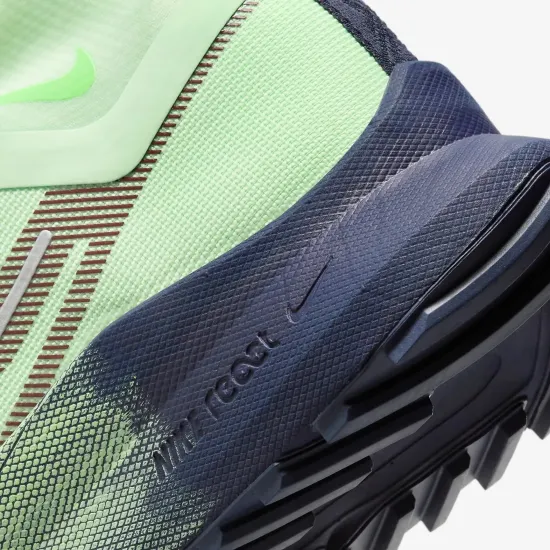 Кросівки Nike React Pegasus Trail 4 Gore-Tex DJ7926-303