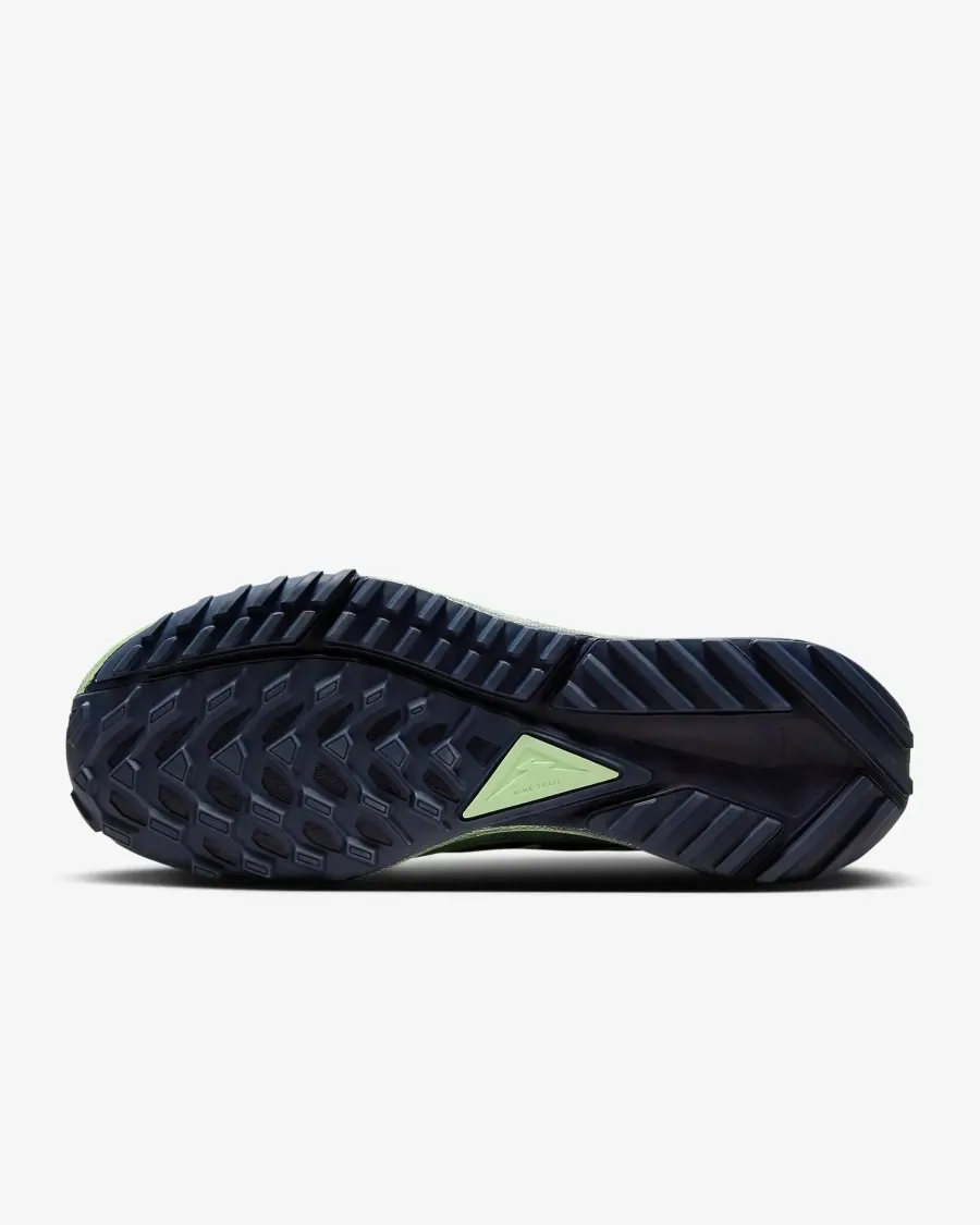 Кросівки Nike React Pegasus Trail 4 Gore-Tex DJ7926-303