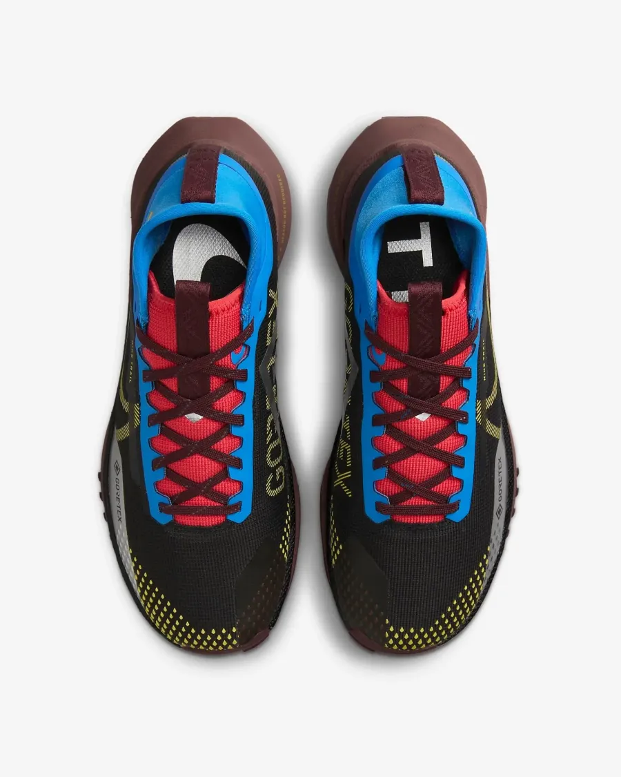 Кросівки Nike Pegasus Trail 4 Gore-Tex DJ7929-003