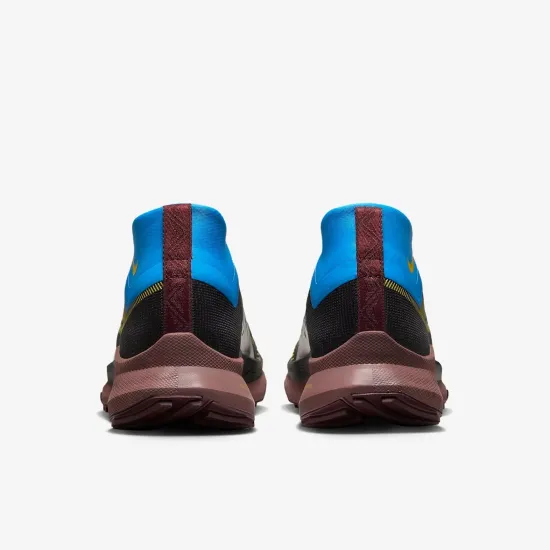 Кросівки Nike Pegasus Trail 4 Gore-Tex DJ7929-003