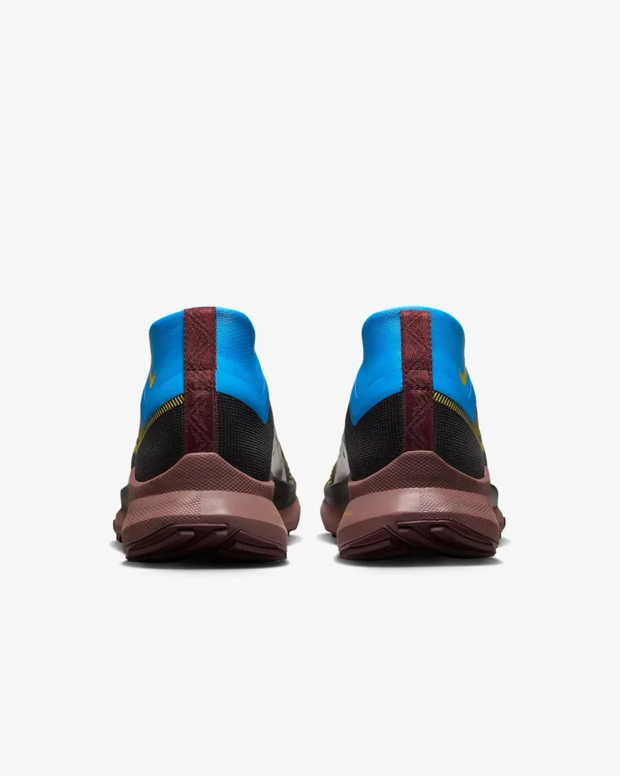 Кросівки Nike Pegasus Trail 4 Gore-Tex DJ7929-003