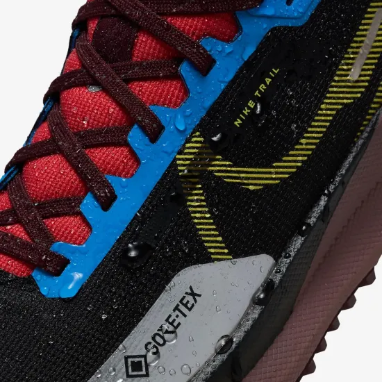 Кросівки Nike Pegasus Trail 4 Gore-Tex DJ7929-003