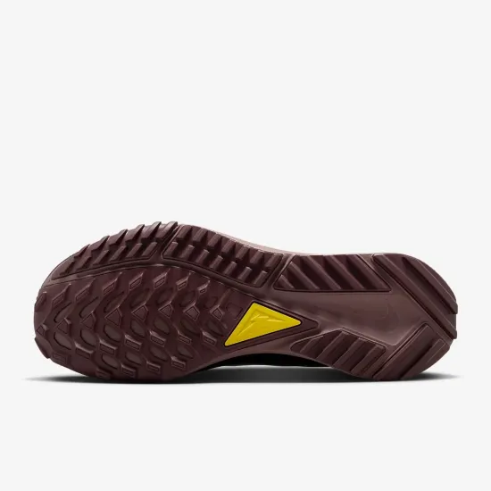 Кросівки Nike Pegasus Trail 4 Gore-Tex DJ7929-003