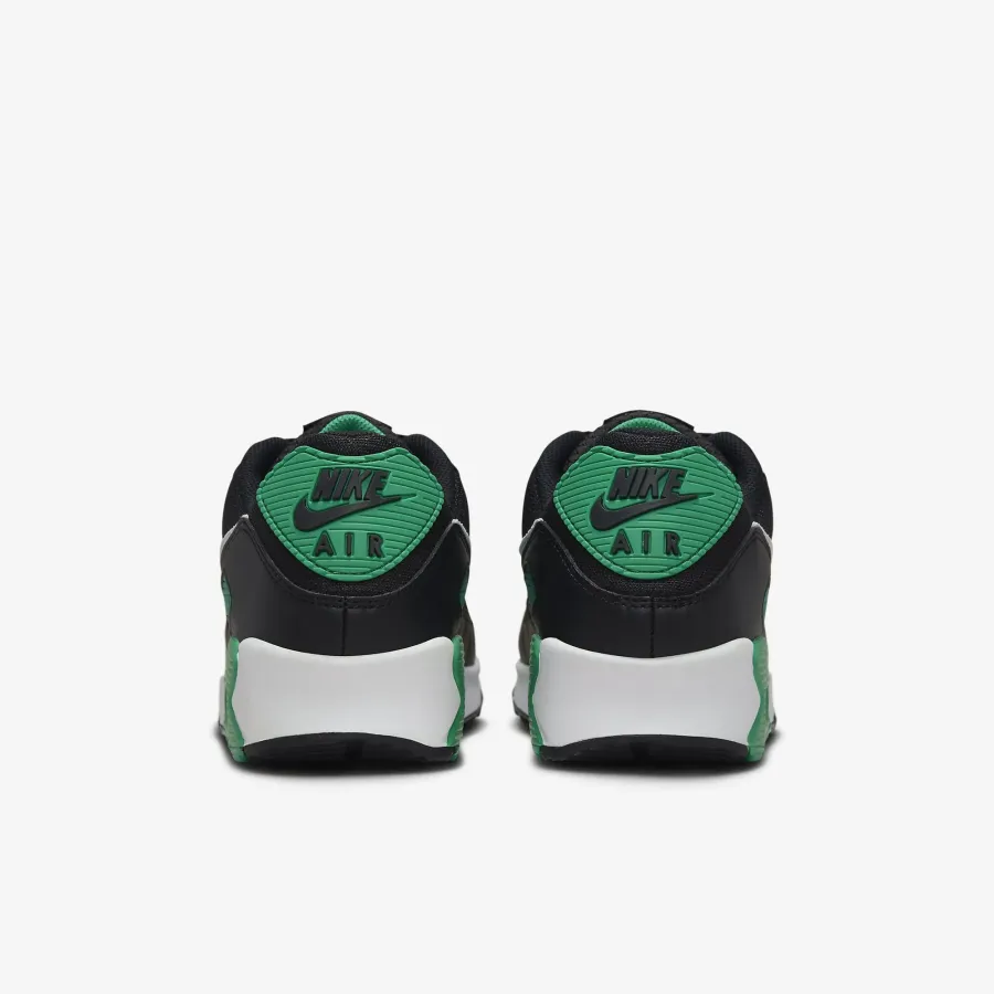 Кросівки Nike Air Max 90 DM0029-006