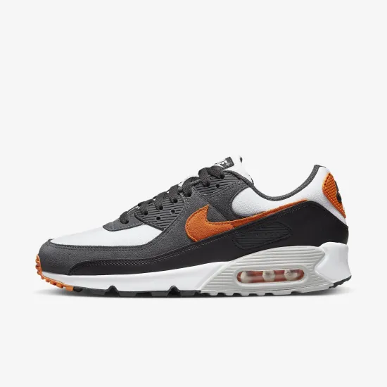 Кросівки Nike Air Max 90 DM0029-101
