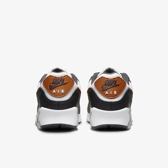 Кросівки Nike Air Max 90 DM0029-101