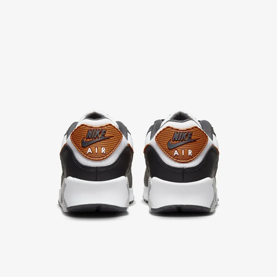 Кросівки Nike Air Max 90 DM0029-101