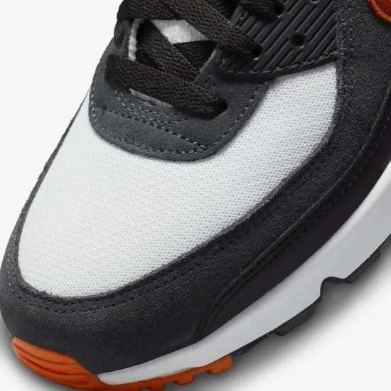 Кросівки Nike Air Max 90 DM0029-101