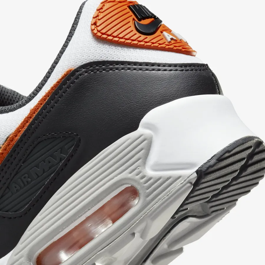 Кросівки Nike Air Max 90 DM0029-101