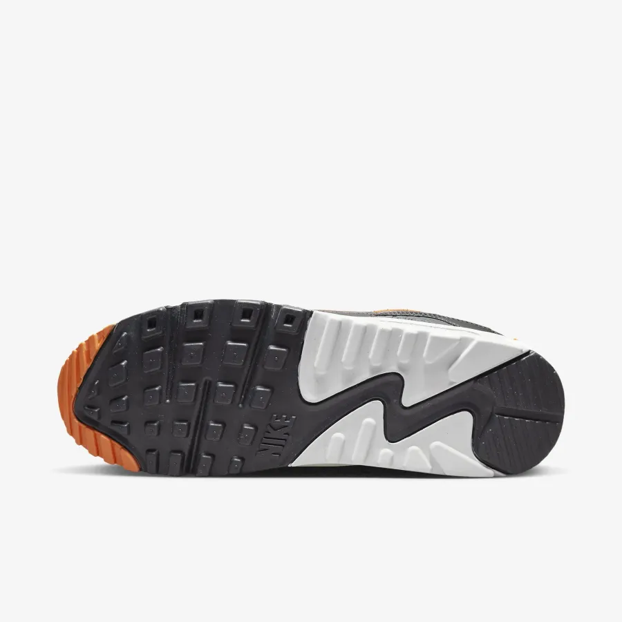 Кросівки Nike Air Max 90 DM0029-101
