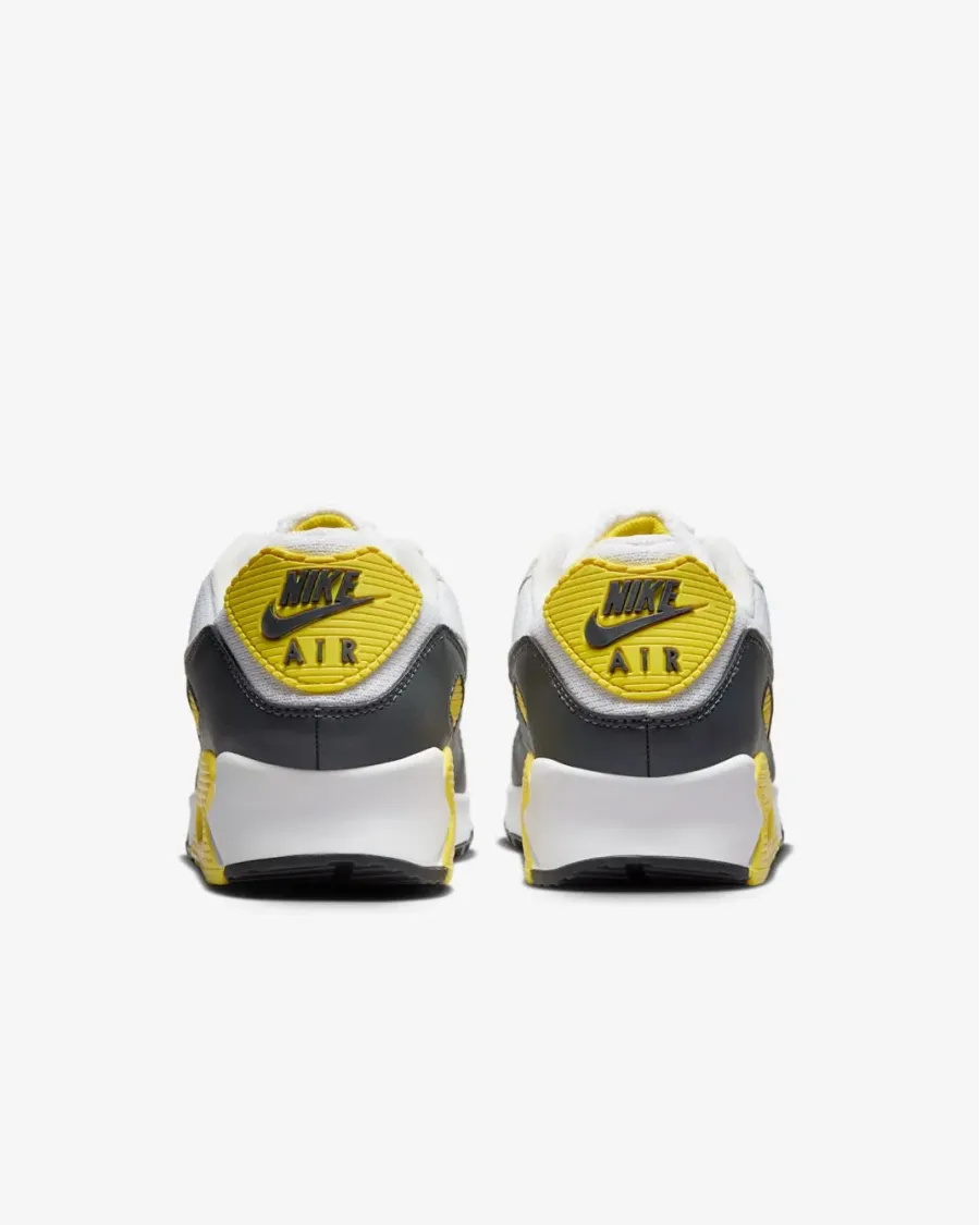 Кросівки Nike Air Max 90 DM0029-111