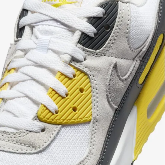 Кросівки Nike Air Max 90 DM0029-111
