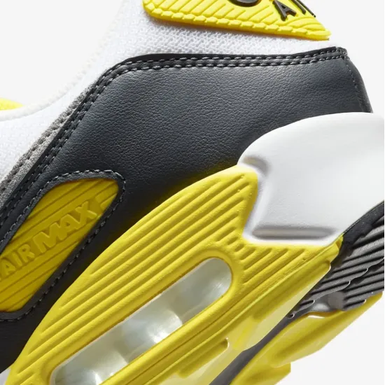 Кросівки Nike Air Max 90 DM0029-111