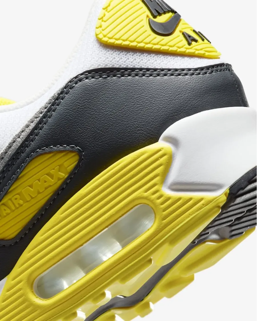 Кросівки Nike Air Max 90 DM0029-111