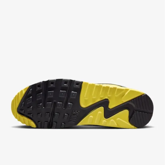 Кросівки Nike Air Max 90 DM0029-111