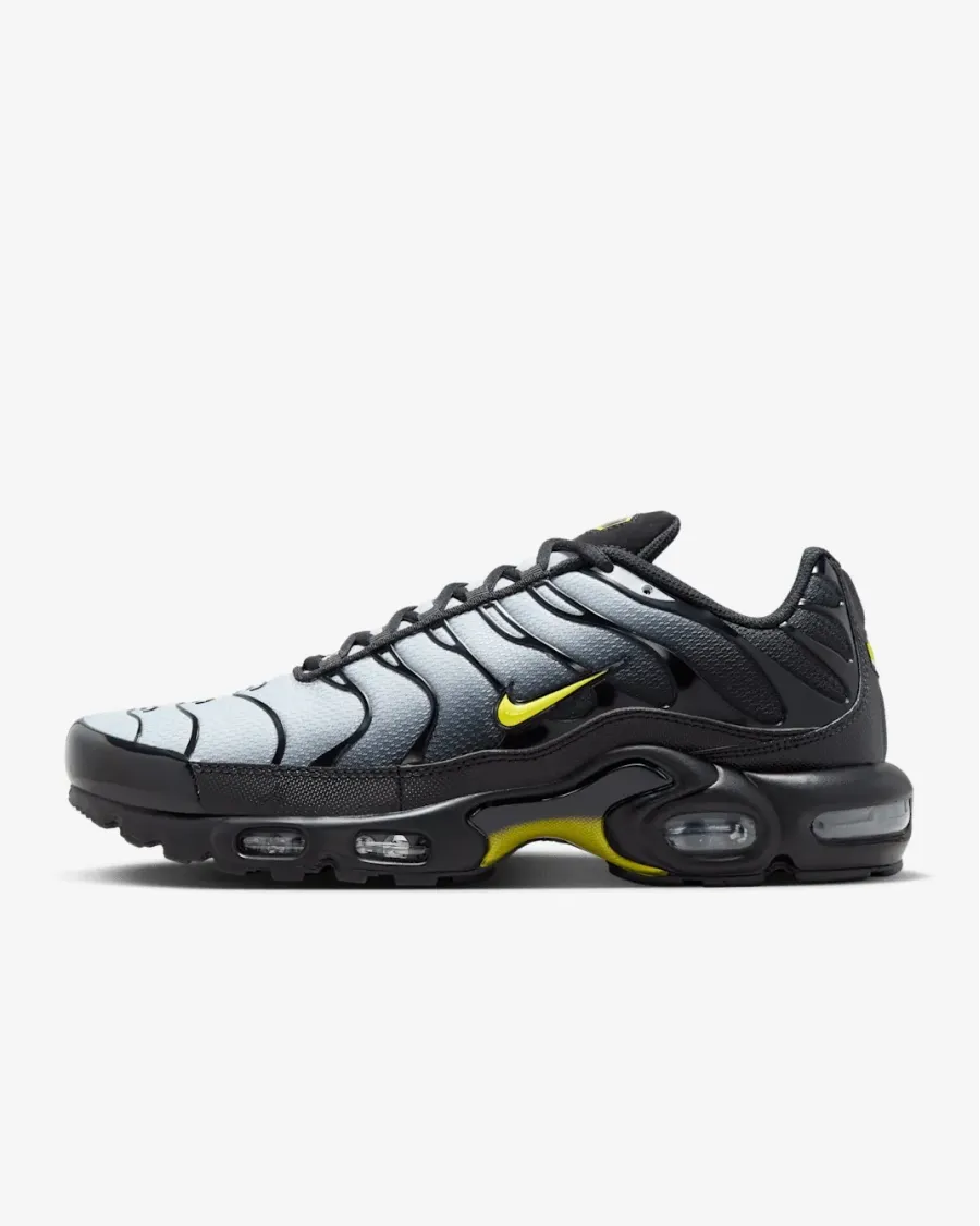 Кросівки Nike Air Max TN Plus 