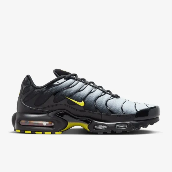 Кросівки Nike Air Max TN Plus 