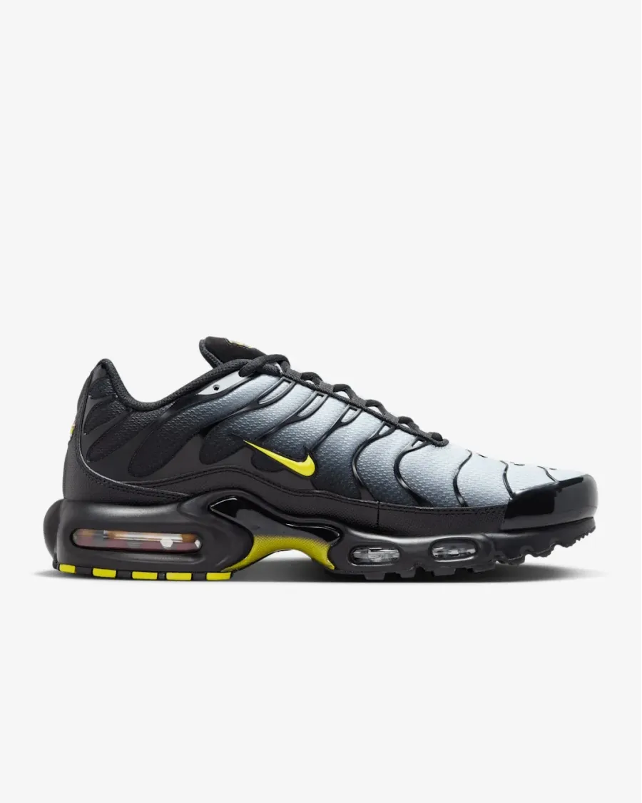 Кросівки Nike Air Max TN Plus 