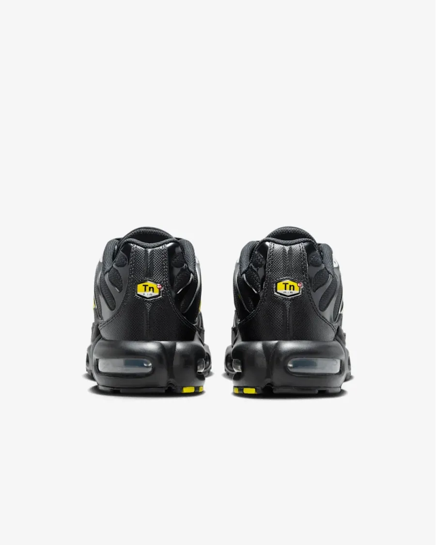 Кросівки Nike Air Max TN Plus 