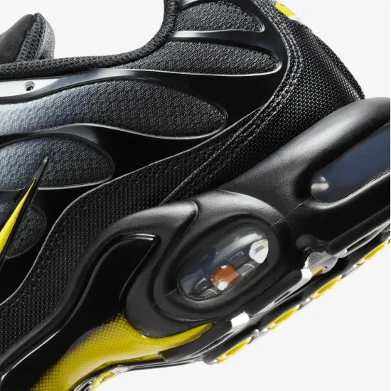 Кросівки Nike Air Max TN Plus 
