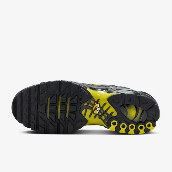 Кросівки Nike Air Max TN Plus 