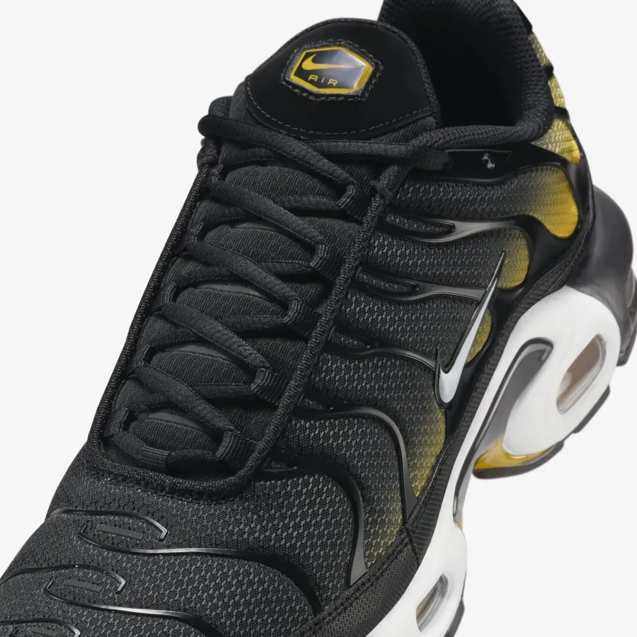 Кросівки Nike Air Max TN Plus 