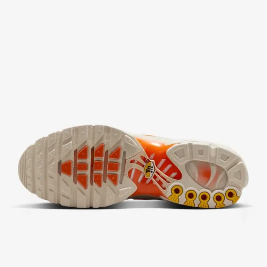 Кросівки Nike Air Max TN Plus 