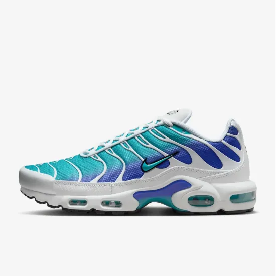 Кросівки Nike Air Max TN Plus 