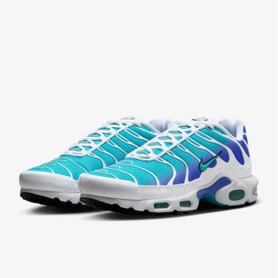 Кросівки Nike Air Max TN Plus 