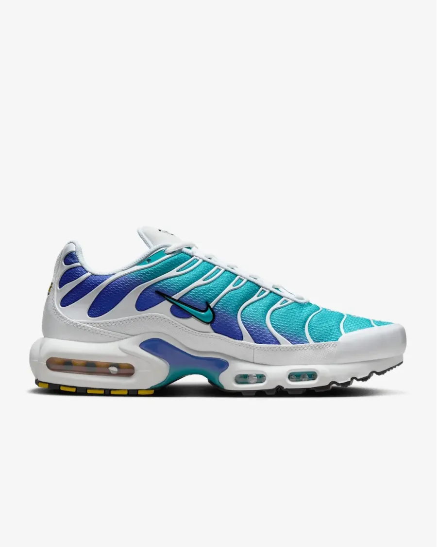Кросівки Nike Air Max TN Plus 