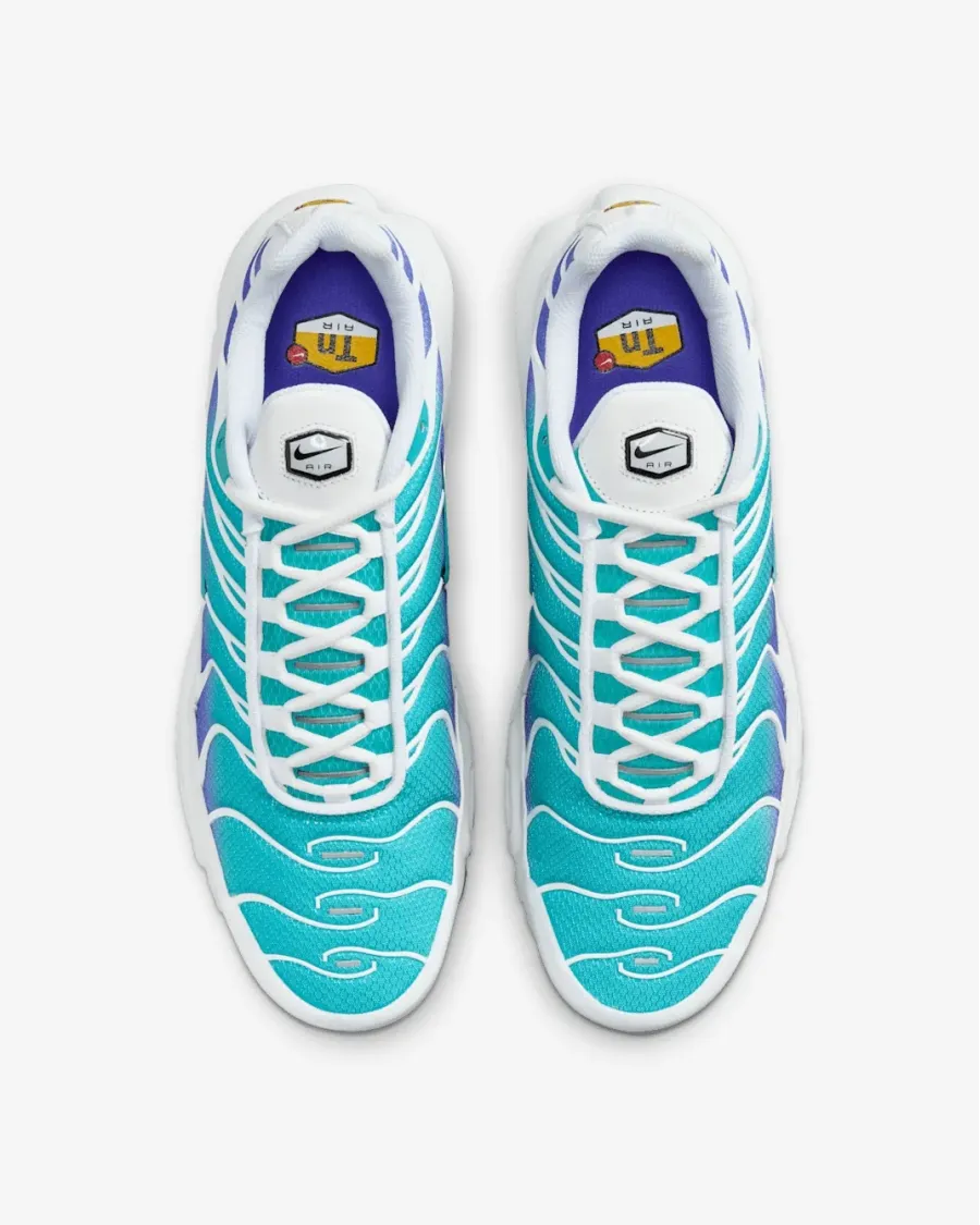 Кросівки Nike Air Max TN Plus 