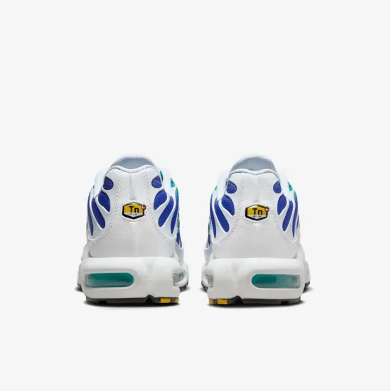 Кросівки Nike Air Max TN Plus 