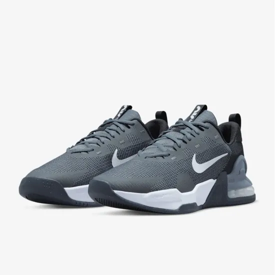 Кросівки Nike Air Max Alpha Trainer 5 DM0829-003