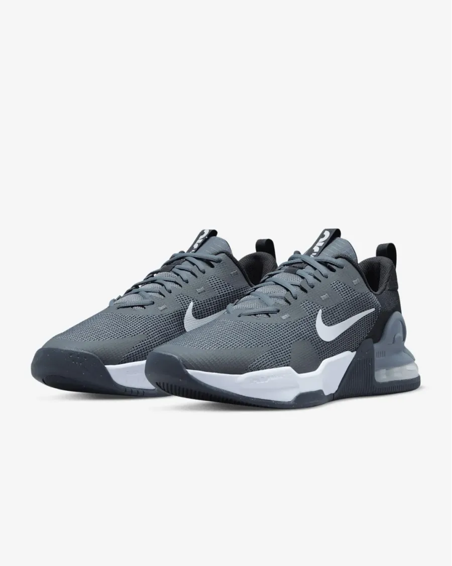 Кросівки Nike Air Max Alpha Trainer 5 DM0829-003