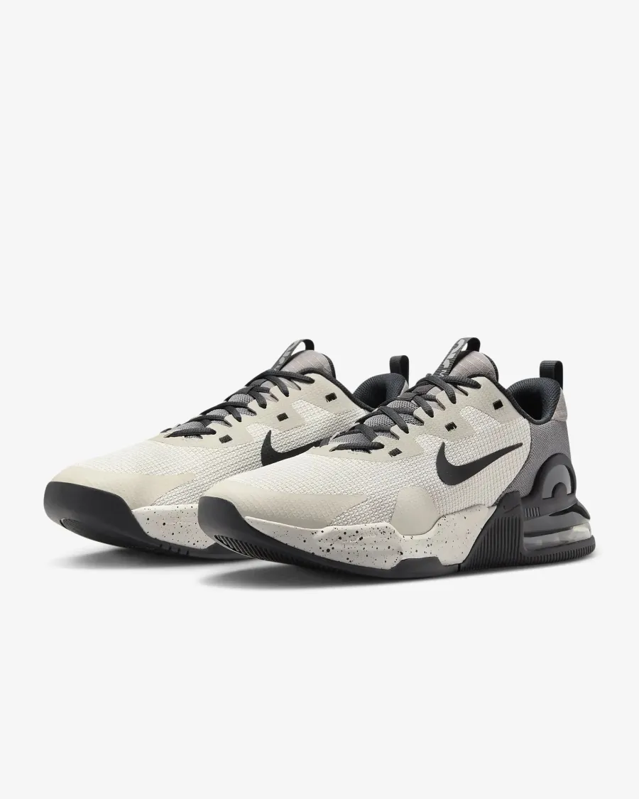 Кросівки Nike Air Max Alpha Trainer 5 DM0829-013