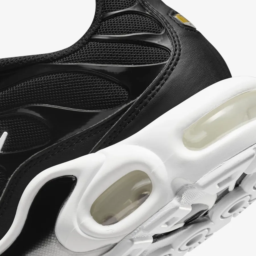 Кросівки Nike Air Max Plus DM2362-001