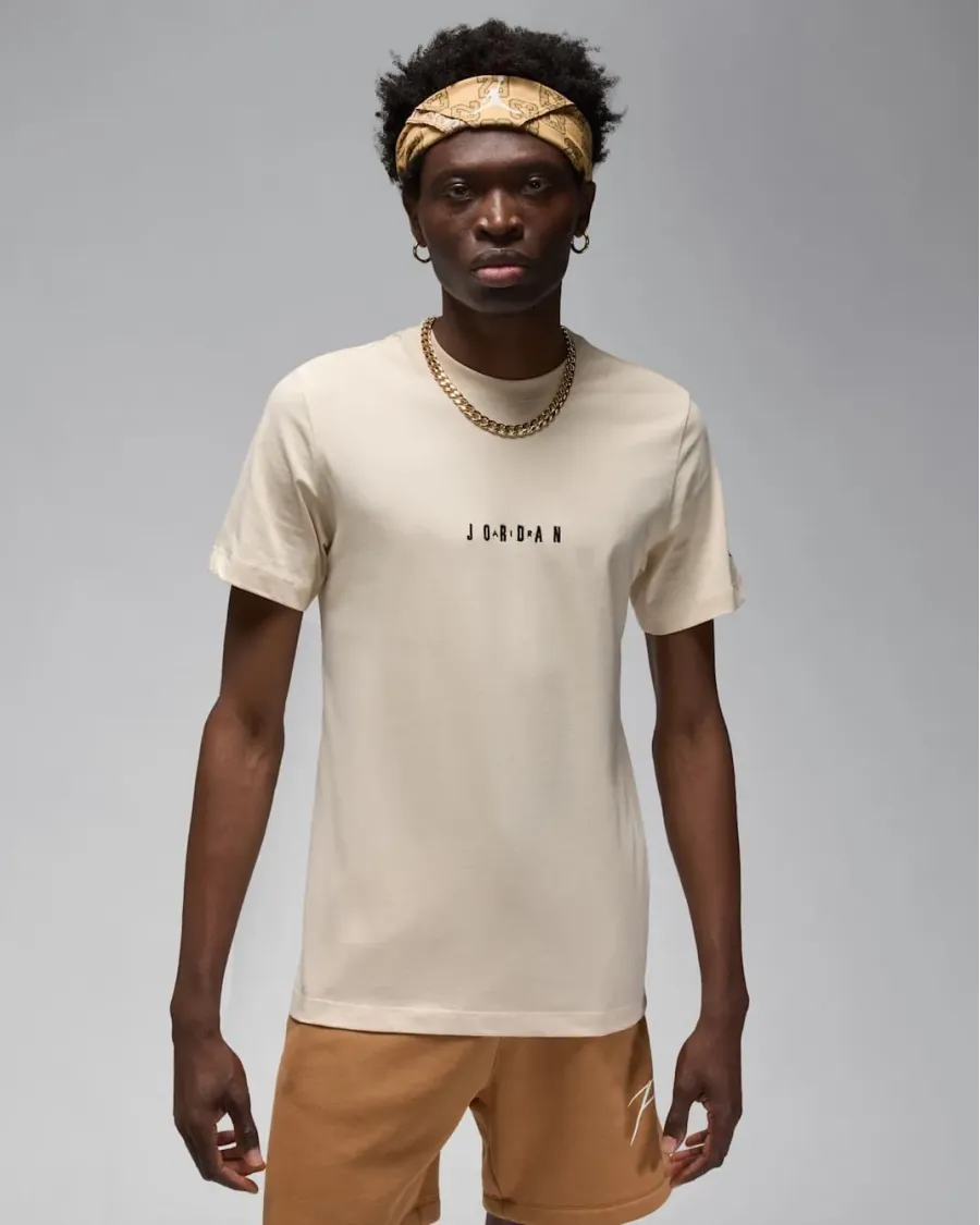 Футболка Nike Air Jordan Crew DM3182-203