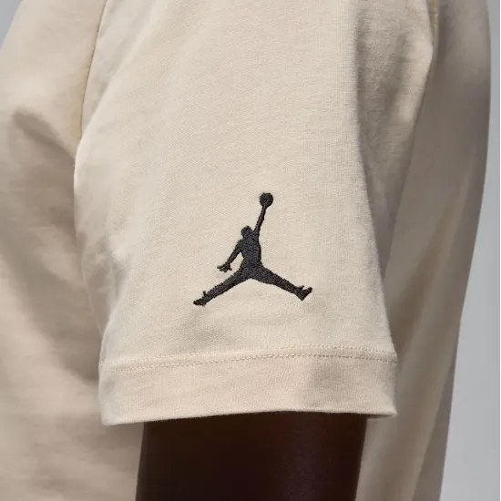 Футболка Nike Air Jordan Crew DM3182-203