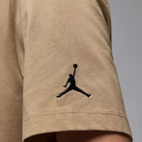 Футболка Nike Air Jordan Crew DM3182-257