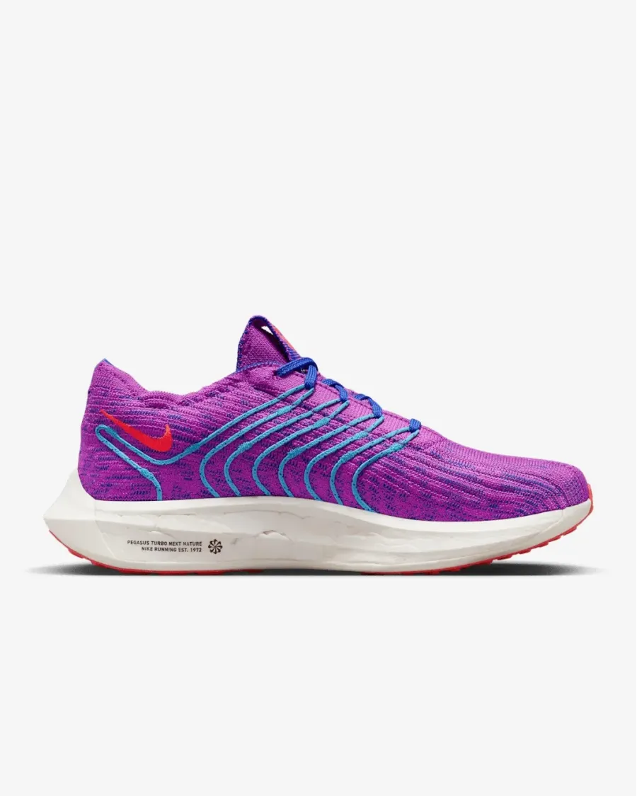 Кросівки Nike Pegasus Turbo Next Nature DM3414-500