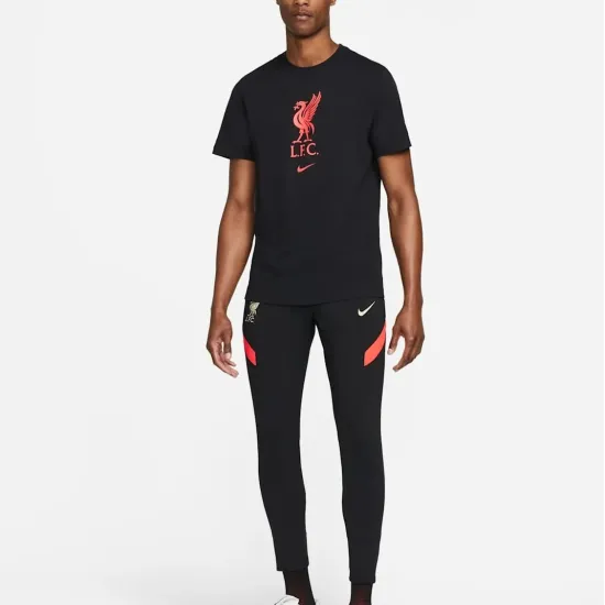 Футболка Nike Liverpool FC Crest Tee DM3482-010
