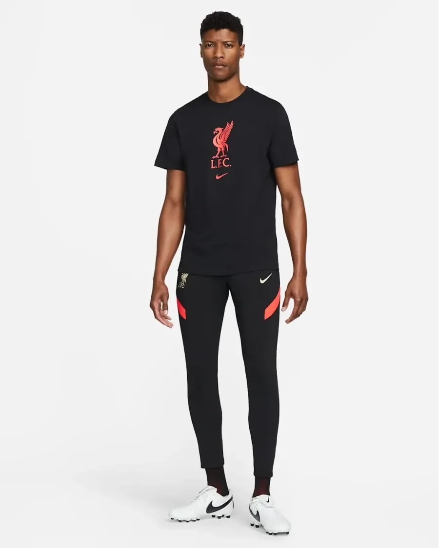 Футболка Nike Liverpool FC Crest Tee DM3482-010