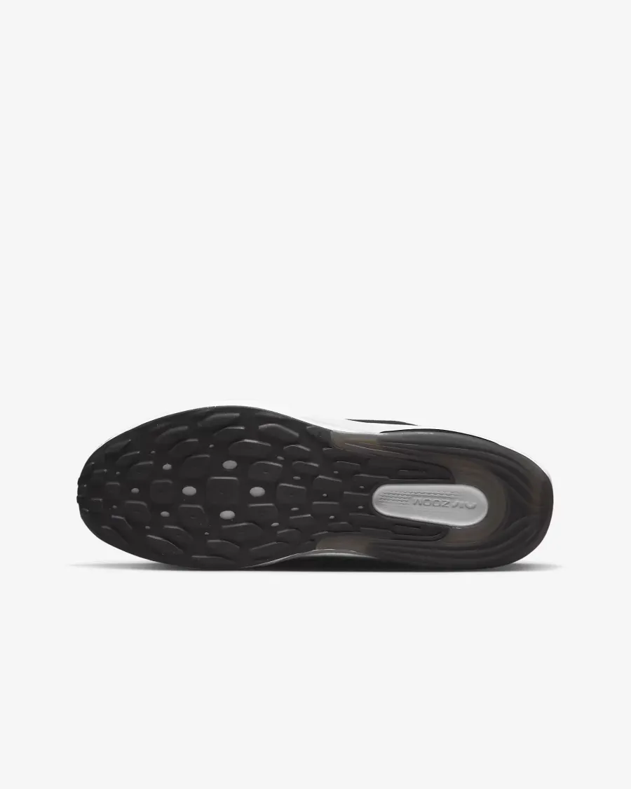 Кросівки Nike Air Zoom Arcadia 2 DM8491-002