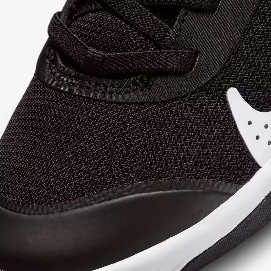 Кросівки Nike Omni Multi-Court DM9026-002