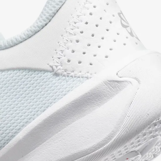Кросівки Nike Omni Multi-Court DM9026-100