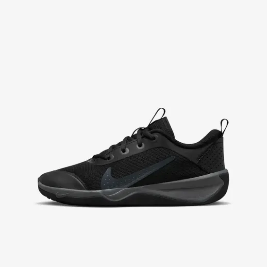 Кросівки Nike Omni Multi-Court DM9027-001