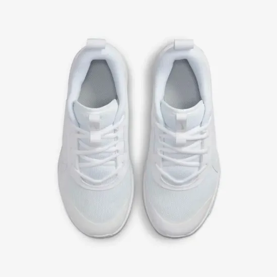 Кросівки Nike Omni Multi-Court DM9027-100
