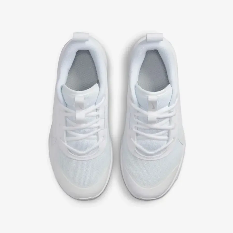 Кросівки Nike Omni Multi-Court DM9027-100