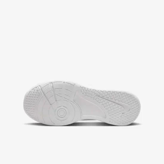 Кросівки Nike Omni Multi-Court DM9027-100