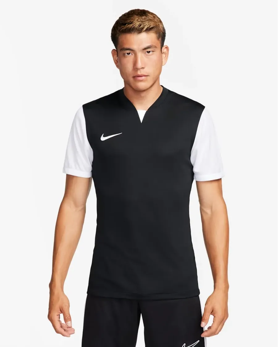 Футболка Nike Dri-FIT Trophy V DR0933-010